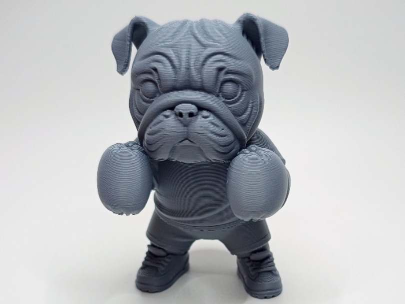 Boxer-Bulldogge "Knuffelhaken" mit Kampfpose