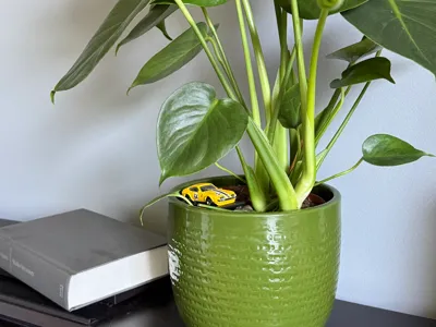 Hotwheels stand for flower pot