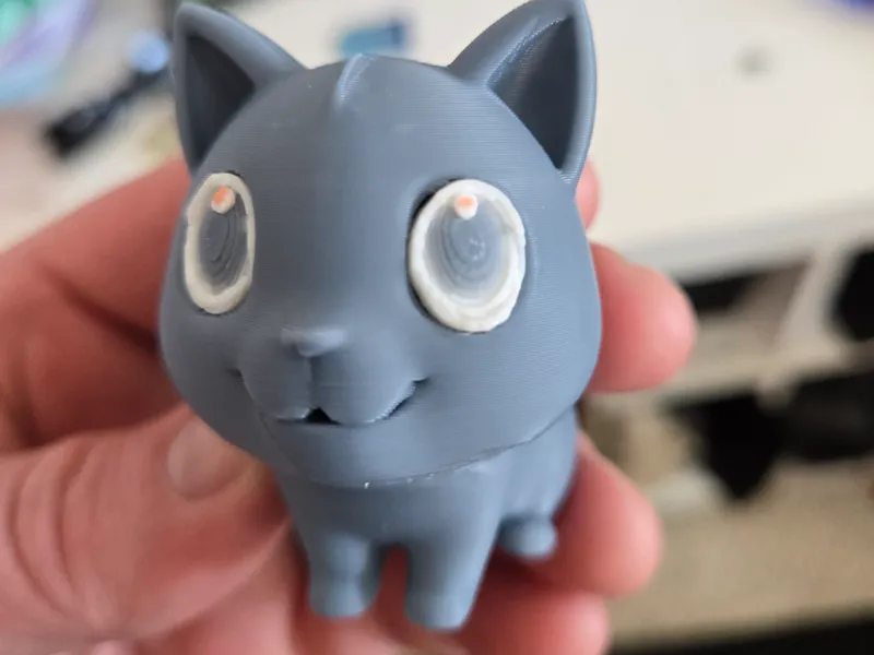 Cute Cat