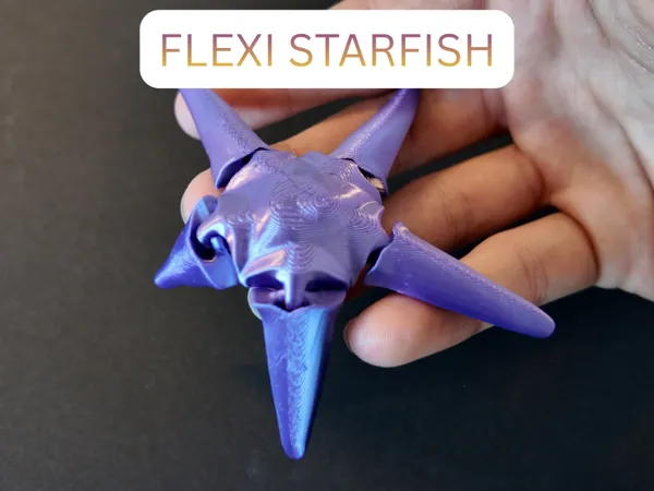 https://makerworld.bblmw.com/makerworld/model/USd5e8b7652a2de5/design/d72dd534b10e0811.png