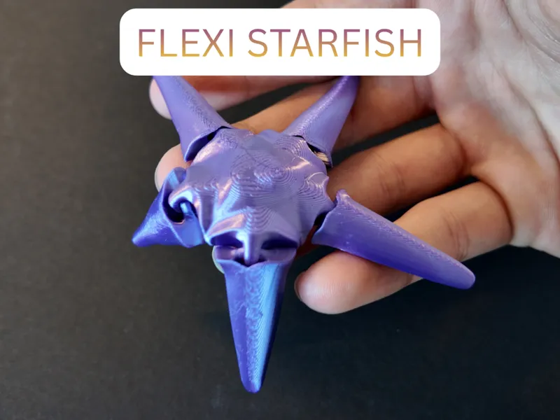 Starfish flexi fidget