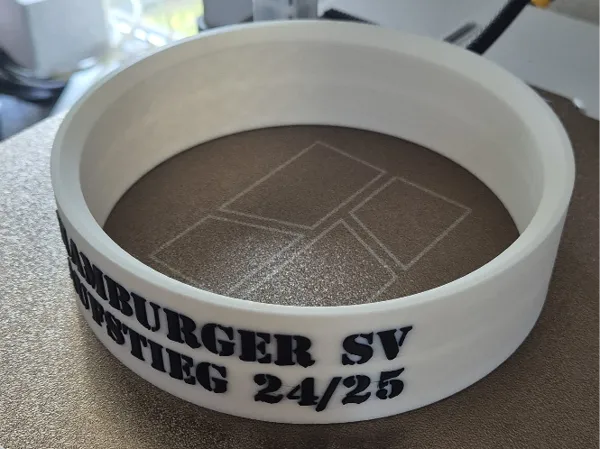 https://makerworld.bblmw.com/makerworld/model/USd5ebb381f6a4b7/design/2025-06-07_943c638368ca98.jpg
