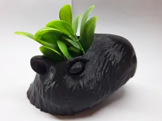 Hair style plant pots: Capybara edition