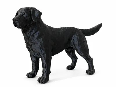 Labrador Hammered Effect