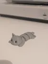 Cute Cat