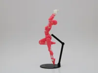 Dummy 13 – torse féminin — photo 2