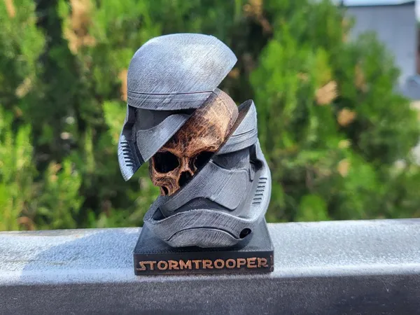 https://makerworld.bblmw.com/makerworld/model/USd5f8d89fbdb919/design/2024-09-03_0173ac7e9ee24.jpg