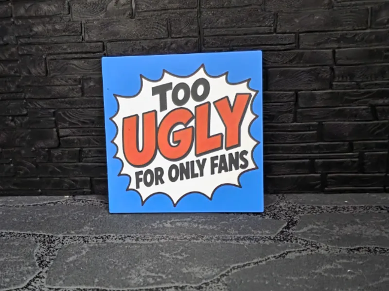 Magnet Schild "Too Ugly "
