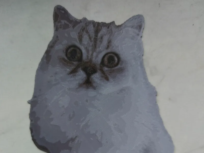 Katze British Long Hair