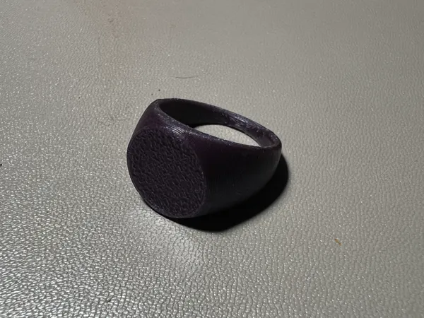 https://makerworld.bblmw.com/makerworld/model/USd605fa870a7ea6/design/2025-07-01_4d016d9b774f2.jpeg