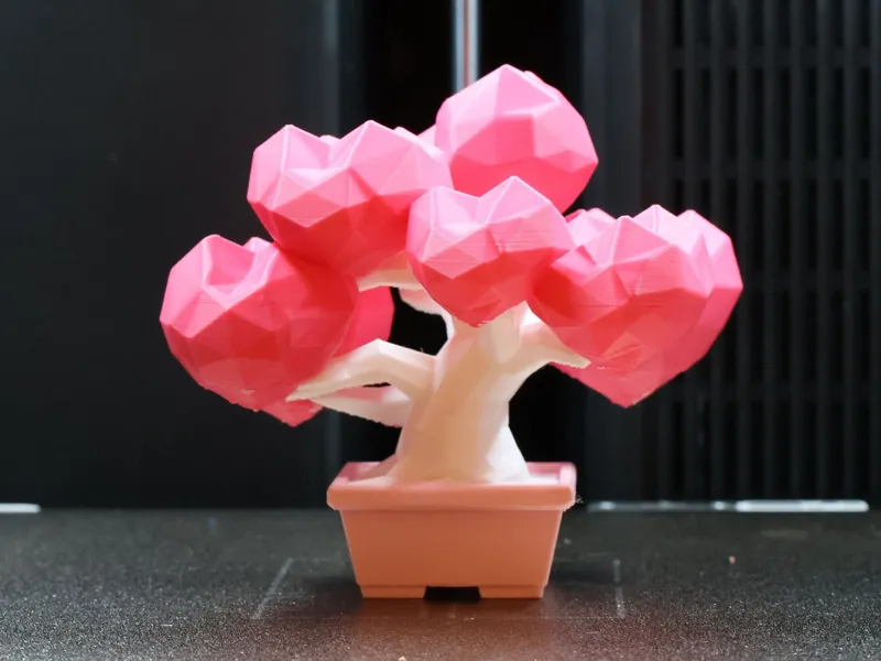 Valentine's Day Bonsai