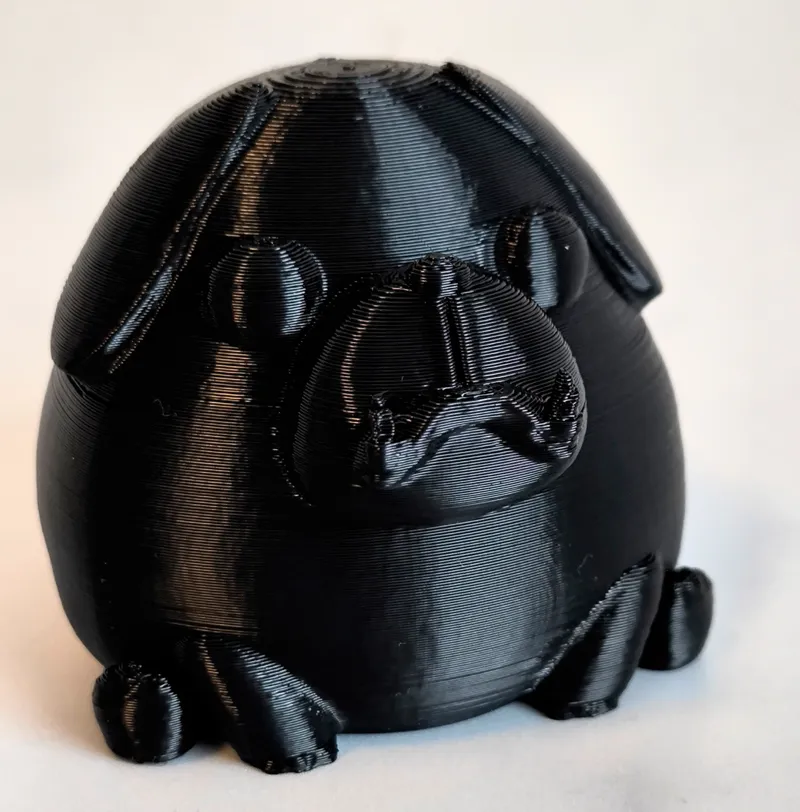 Cute little Pug
