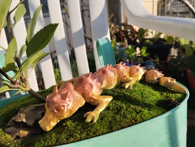 Flexi Sleeping Dragon
