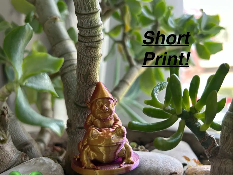 Garden Gnome Riding Frog