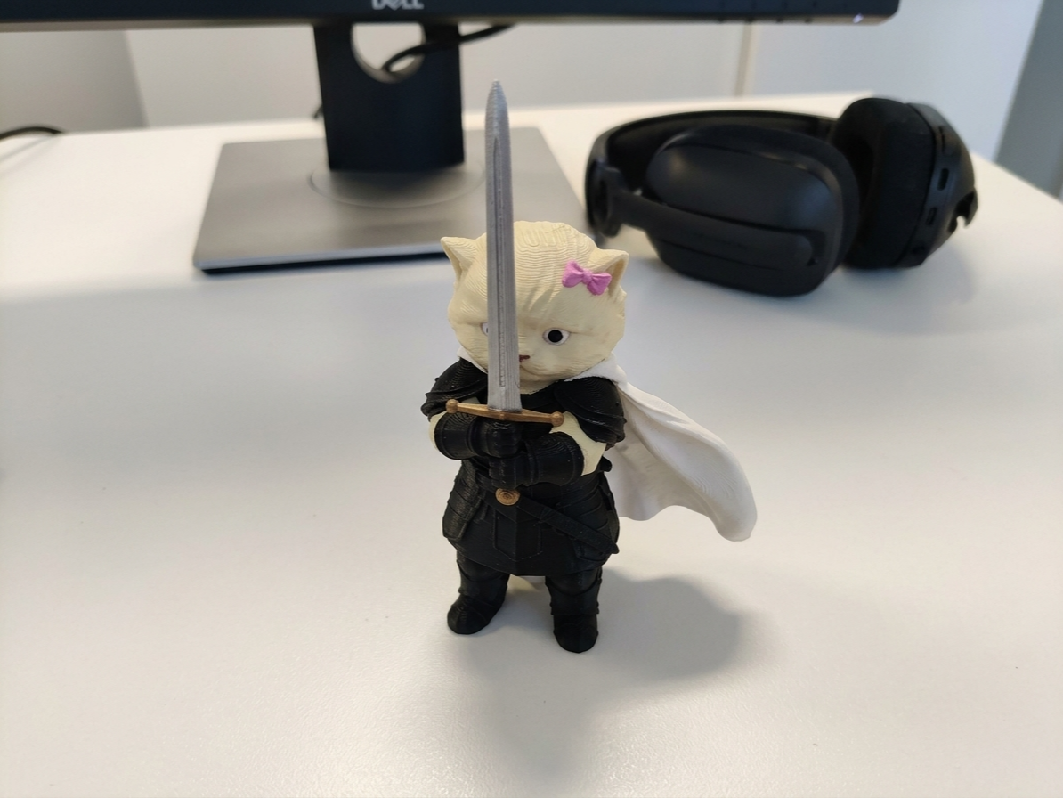 Gato Cavaleiro - Knight Cat - 1