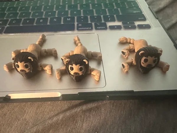 https://makerworld.bblmw.com/makerworld/model/USd610b79592b780/design/2025-06-24_92bba6b74b4ae.jpg