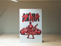 0.08mm layer, 2 walls, 100% infill