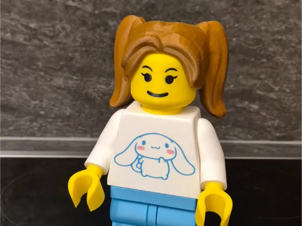 https://makerworld.bblmw.com/makerworld/model/USd617181438b1e0/design/2026-01-15_b510fd8842a248.jpg