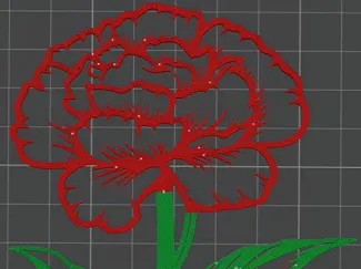 гвоздика carnation