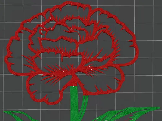 гвоздика carnation