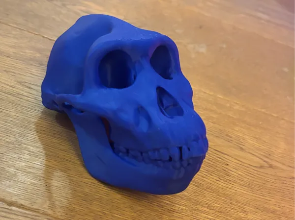 https://makerworld.bblmw.com/makerworld/model/USd61ceff44c6edc/design/74cc7b4629d7cf3d.jpg