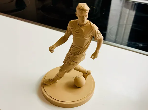 https://makerworld.bblmw.com/makerworld/model/USd61f70a01015d9/design/cb3085a386d3fa06.jpg