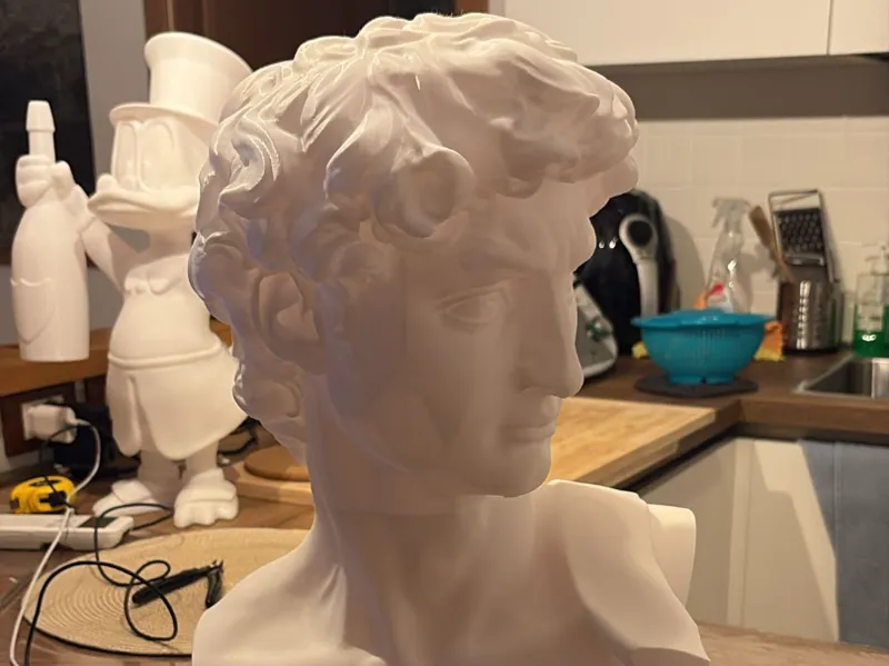 Busto del David di Michelangelo