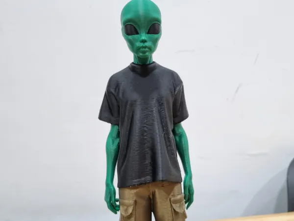 https://makerworld.bblmw.com/makerworld/model/USd6236c853e6c88/design/2025-07-14_9276dda3363558.jpg