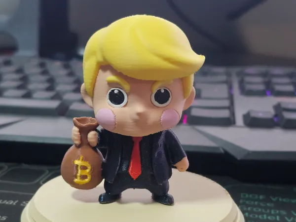 https://makerworld.bblmw.com/makerworld/model/USd6248523573e6d/design/2025-01-28_2eb597a59ef75.jpg