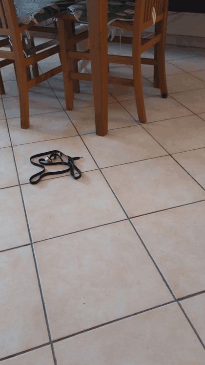 https://makerworld.bblmw.com/makerworld/model/USd6270c1267d8d/design/2024-01-04_2898ba230e8c7.gif