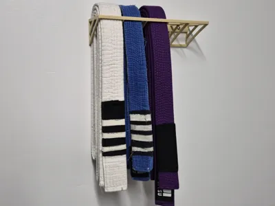 Jiu Jitsu Belt Wall Display