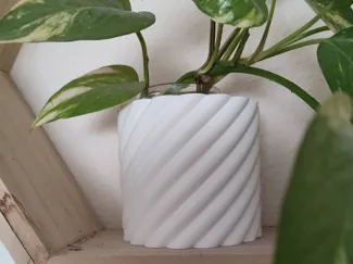 Elegant flower pot