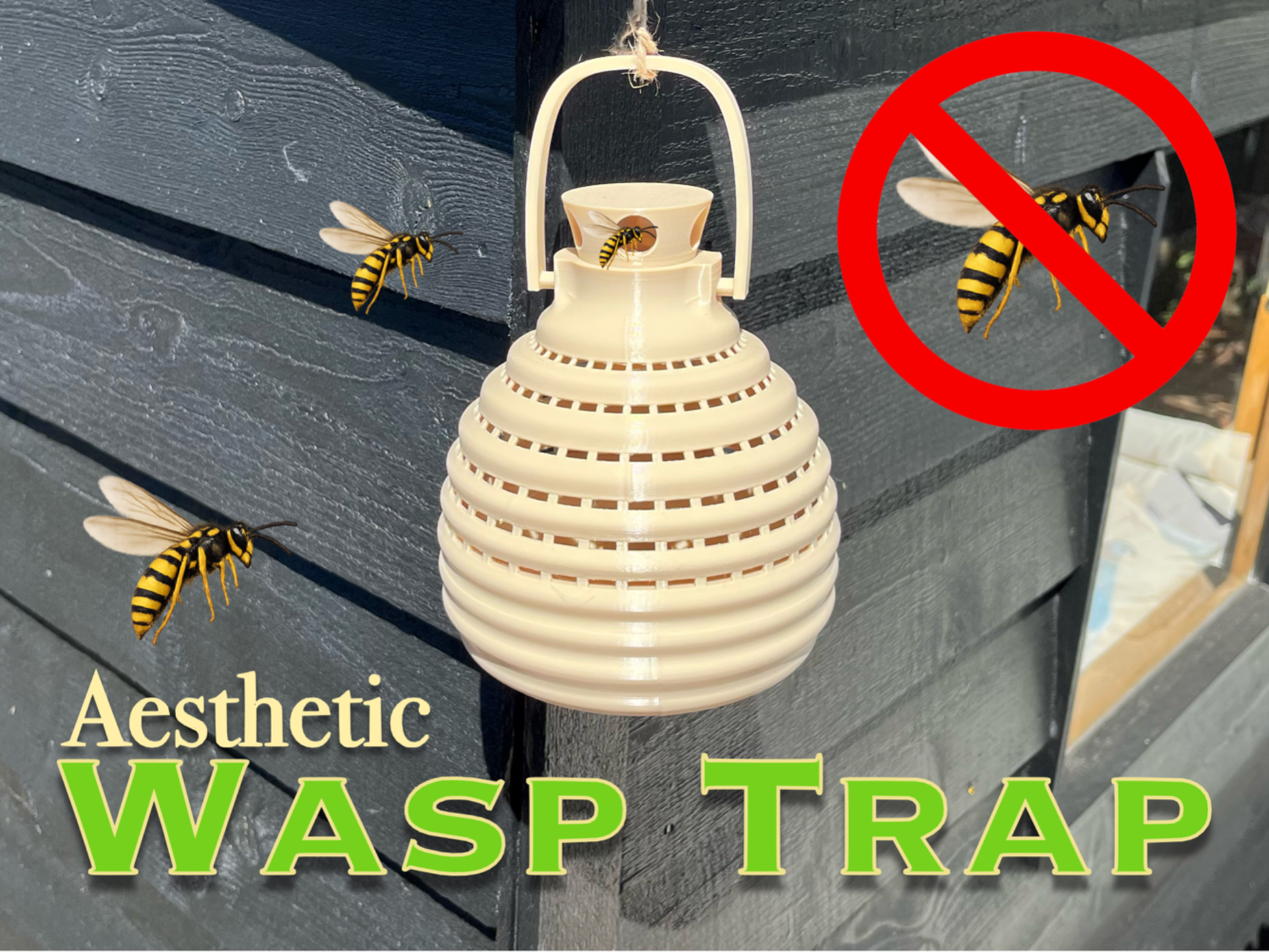 Aesthetic Wasp/Hornet trap - reusable