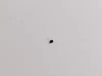 0.08mm layer, 2 walls, 15% infill