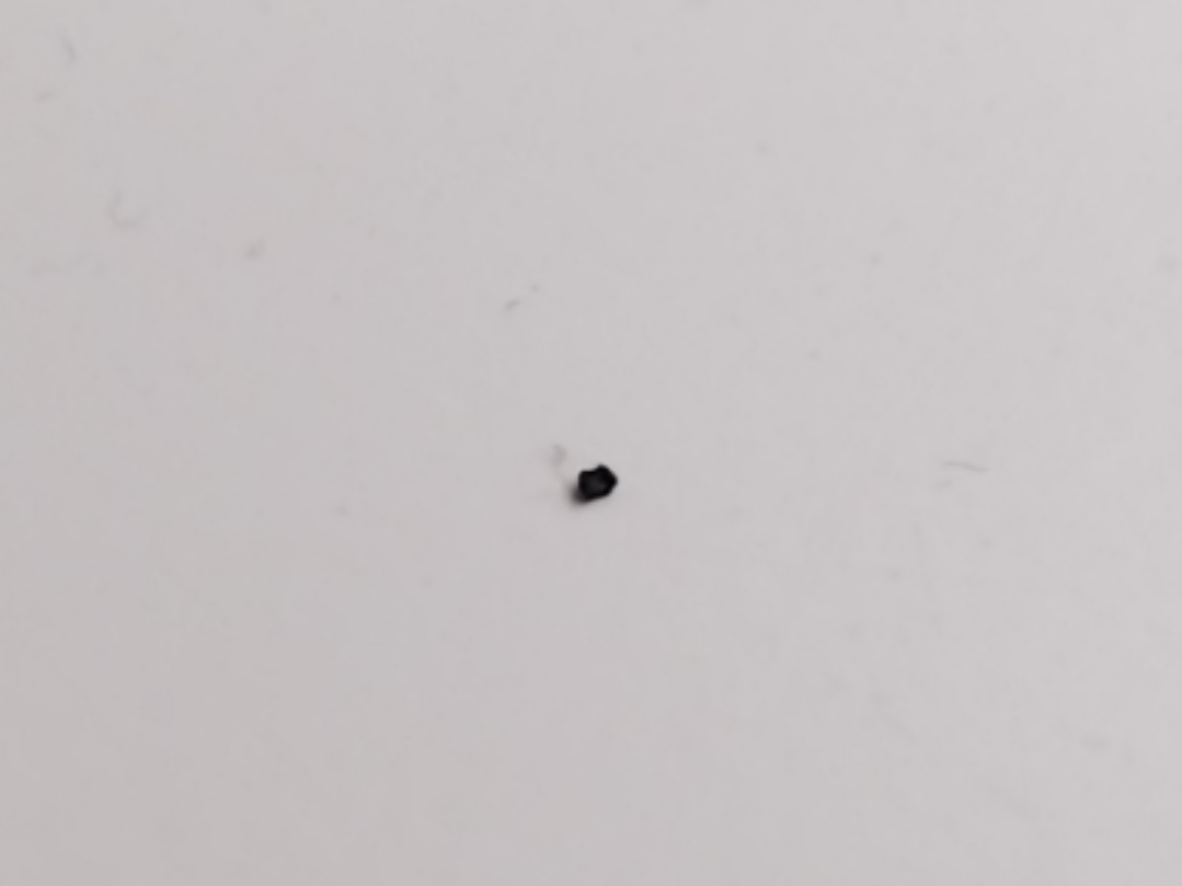 The Real Smallest 3d print 