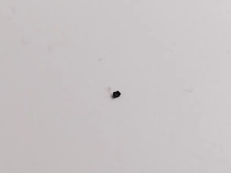 The Real Smallest 3d print 