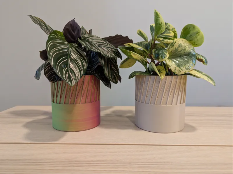 Boralis 4" Plant Pot