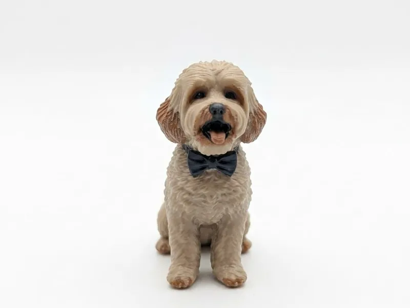 dog shih tzu 