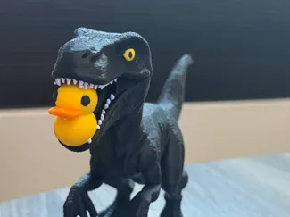 Raptor with Rubber Duck