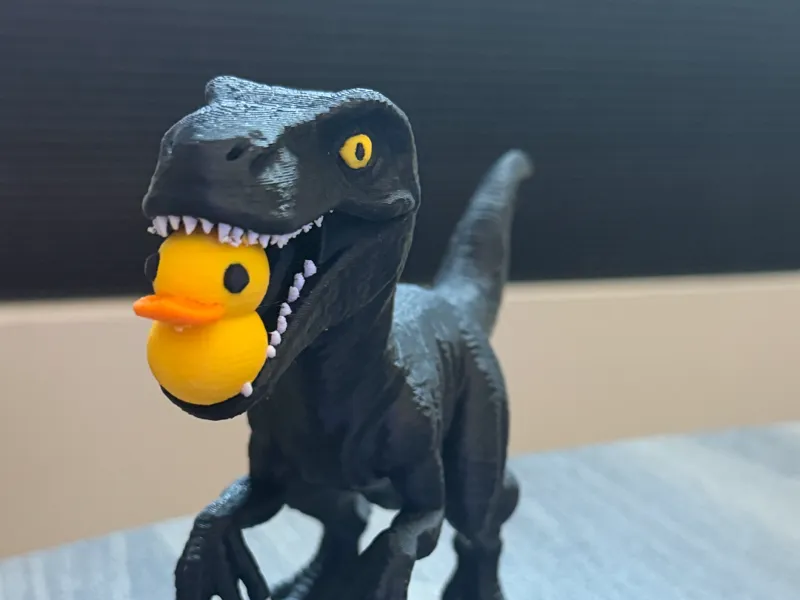 Raptor with Rubber Duck