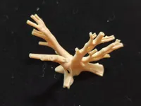 0.2mm 层高, 2 层墙, 10% 填充