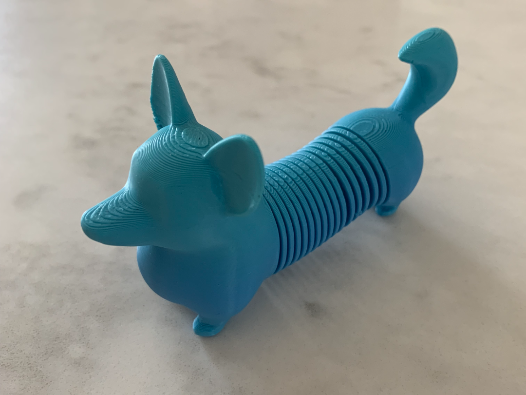 Springy Corgi