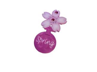 Anhänger Einkaufschip "spring"