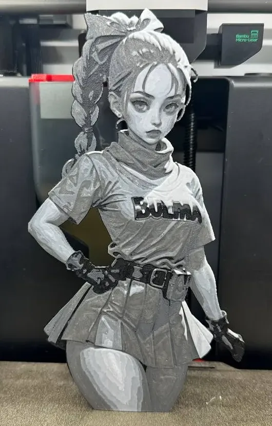 Hueforge Bulma Drangonball