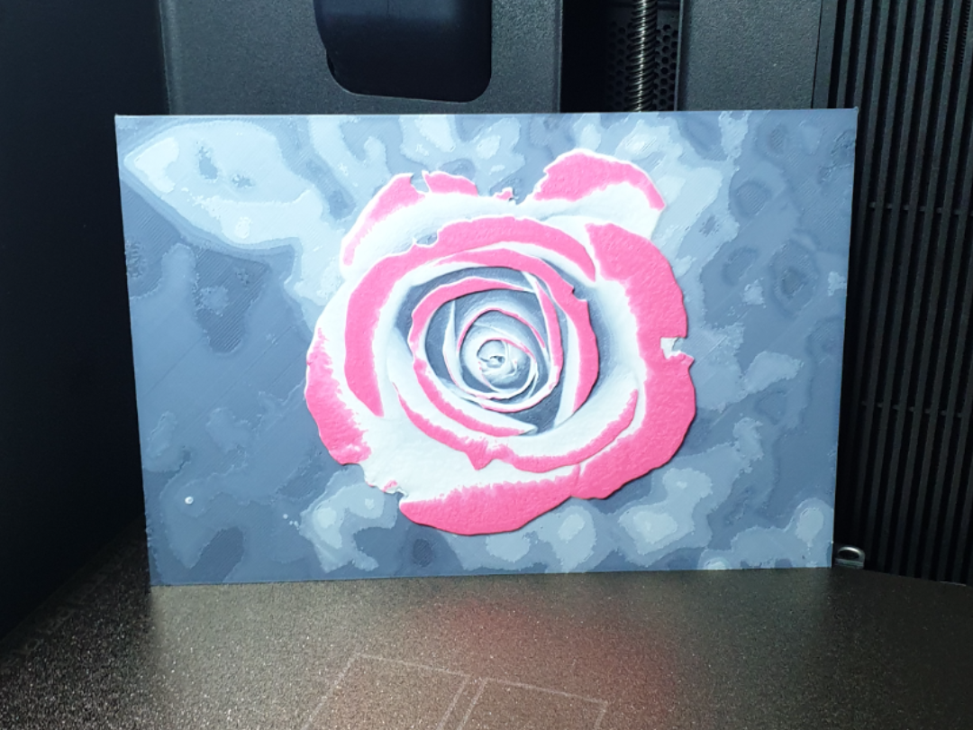 Pink Tipped Rose – 4 Colour HueForge