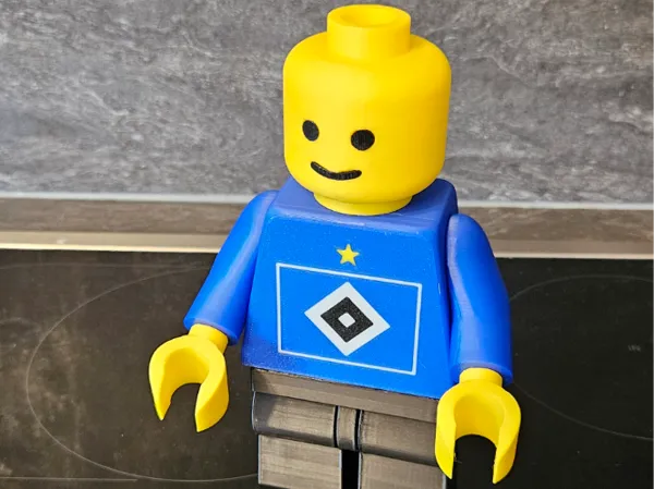 https://makerworld.bblmw.com/makerworld/model/USd641c973d49c5e/design/2025-06-23_a9d056084d14a8.jpg