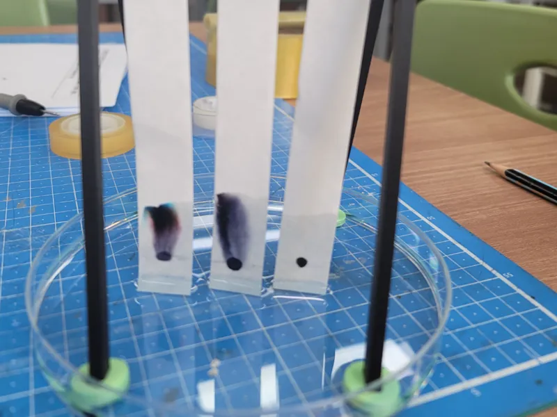 Chromatography Stand