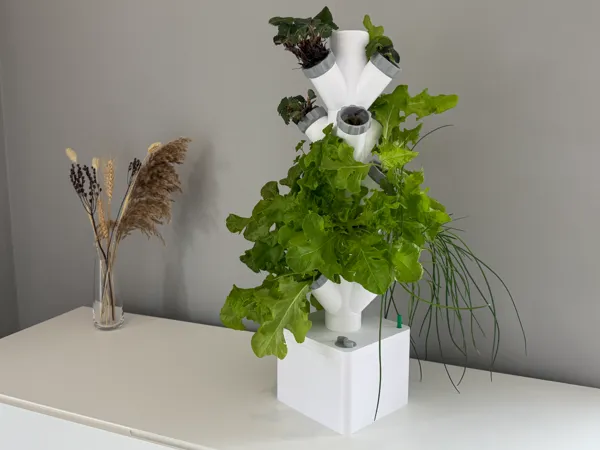 https://makerworld.bblmw.com/makerworld/model/USd6422597627566/design/2025-04-13_bf0cbaac901578.jpg