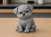 Puppy with a raised eyebrow