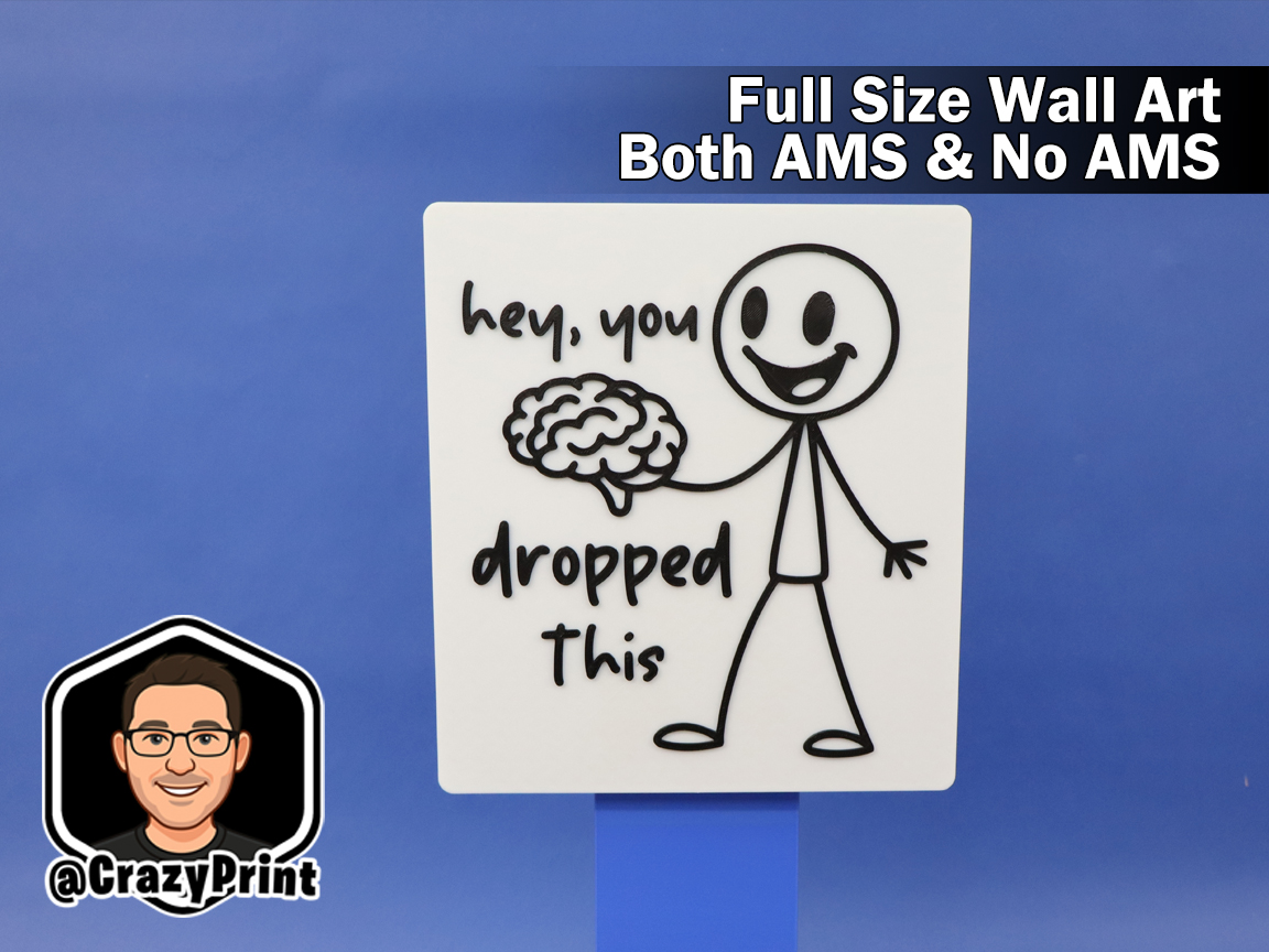 Funny Sarcastic Sign / Wall Art - No AMS 3D model